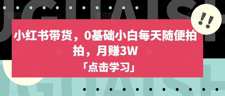 小红书带货，0基础小白每天随便拍拍，月赚3W【揭秘】-策里行间