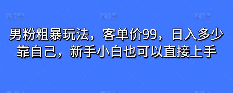 男粉粗暴玩法，客单价99，日入多少靠自己，新手小白也可以直接上手-策里行间