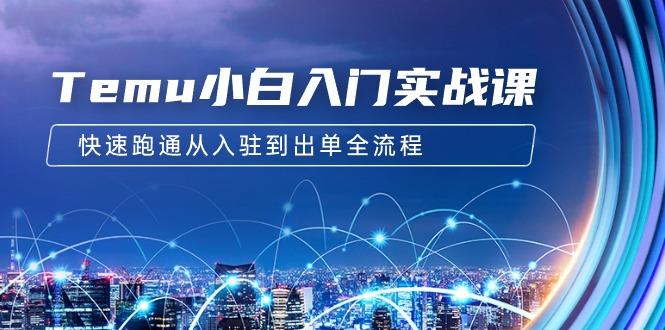 (9295期)Temu小白入门实战课：跨境拼多多电商培训 快速跑通从入驻到出单全流程-12节-策里行间
