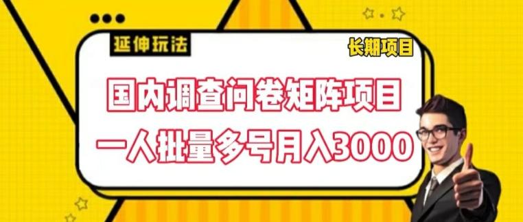 国内调查问卷矩阵项目，一人批量多号月入3000【揭秘】-策里行间