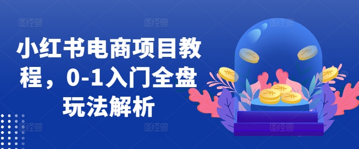 小红书电商项目教程，0-1入门全盘玩法解析-策里行间