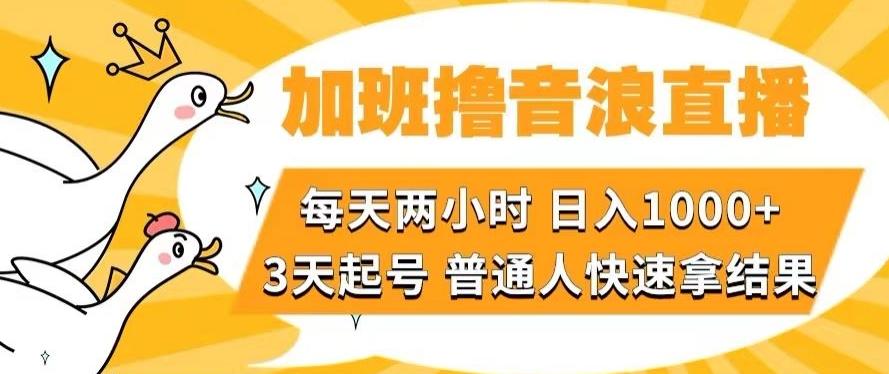 加班撸音浪直播，每天两小时，日入1000+，直播话术才3句，3天起号，普通人快速拿结果【揭秘】-策里行间