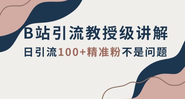 B站引流教授级讲解，细节满满，日引流100+精准粉不是问题【揭秘】-策里行间
