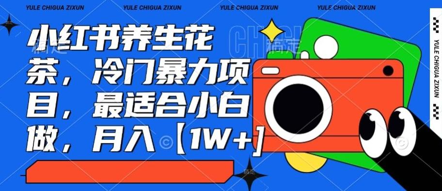 小红书养生花茶，冷门暴力项目，最适合小白做，月入【1W+】-策里行间
