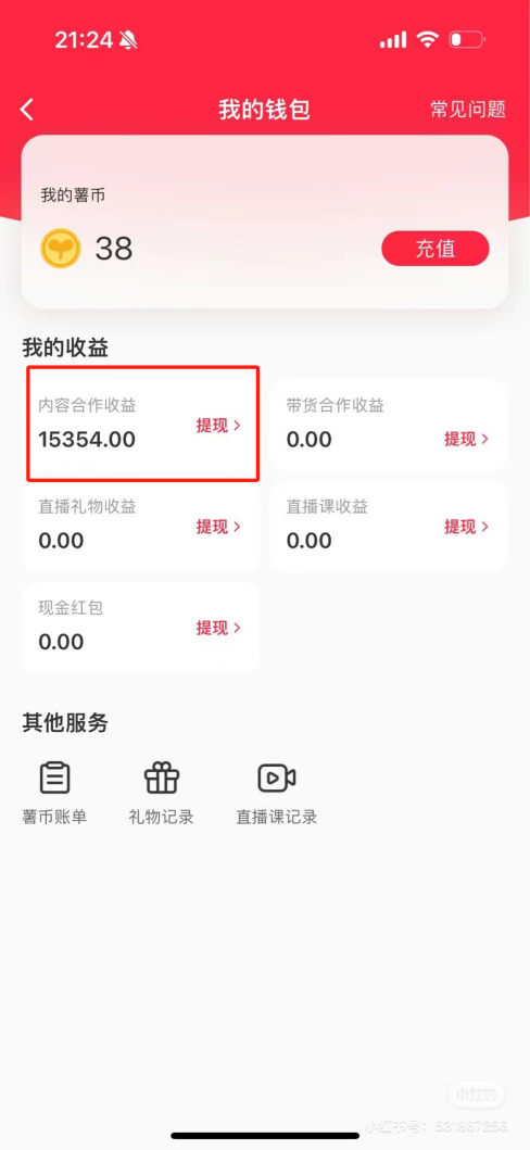 热门评论引爆小红书流量，作品制作简单，广告接到手软，月入过万不是梦-策里行间