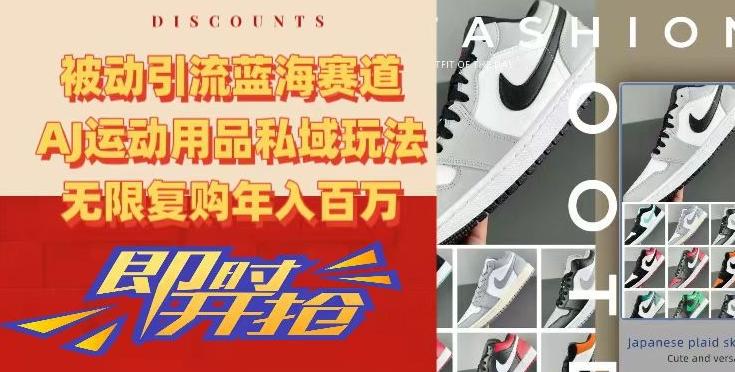 被动引流蓝海赛道，AJ运动用品私域玩法，无限复购年入百万【揭秘】-策里行间