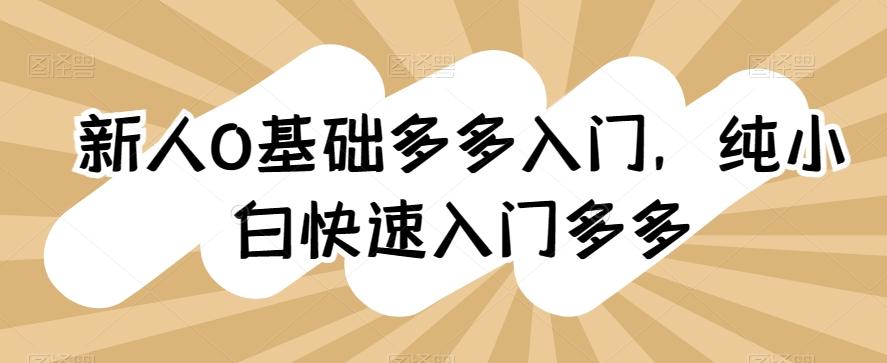 新人0基础多多入门，​纯小白快速入门多多-策里行间