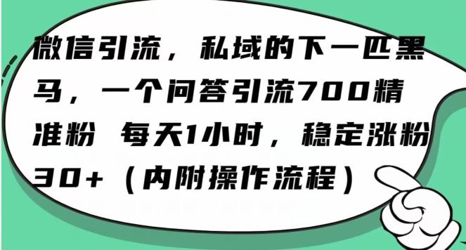 怎么搞精准创业粉？微信新赛道，每天一小时，利用Ai一个问答日引100精准粉-策里行间