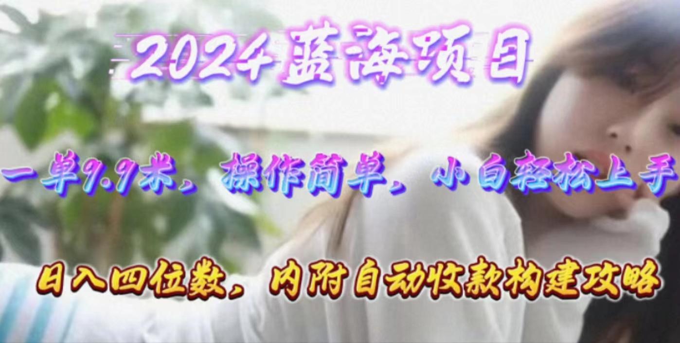 年轻群体的蓝海市场，1单9.9元，操作简单，小白轻松上手，日入四位数-策里行间