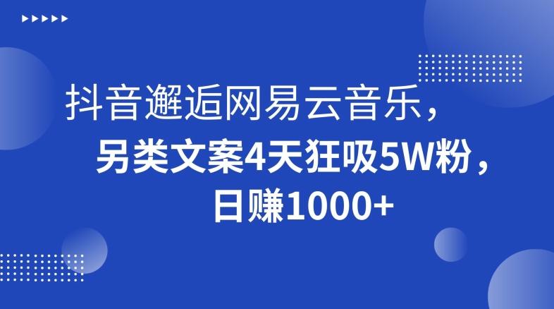 抖音邂逅网易云音乐，另类文案4天狂吸5W粉，日赚1000+【揭秘】-策里行间