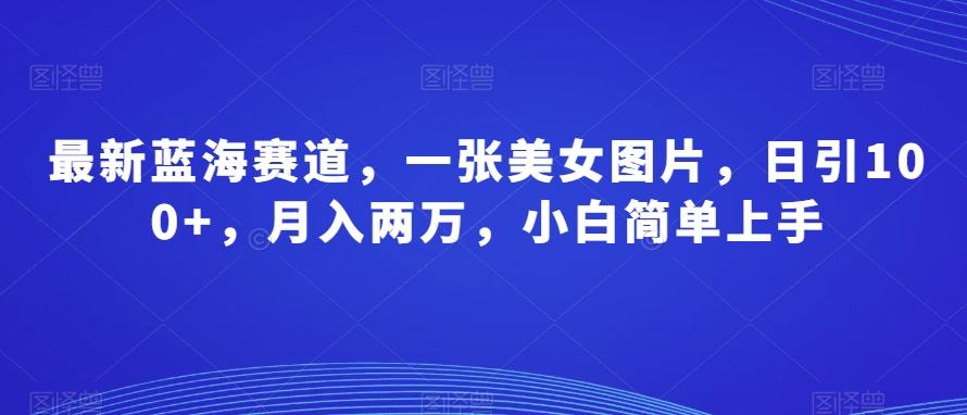 最新蓝海赛道，一张美女图片，日引100+，月入两万，小白简单上手-策里行间