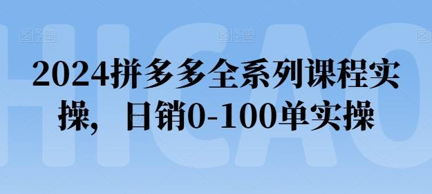 2024拼多多全系列课程实操，日销0-100单实操【必看】-策里行间
