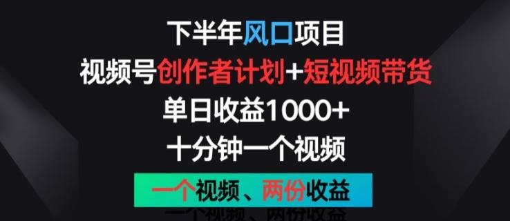 下半年风口项目，视频号创作者计划+视频带货，一个视频两份收益，十分钟一个视频【揭秘】-策里行间