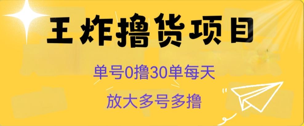 王炸撸货项目，单号0撸30单每天，多号多撸【揭秘】-策里行间
