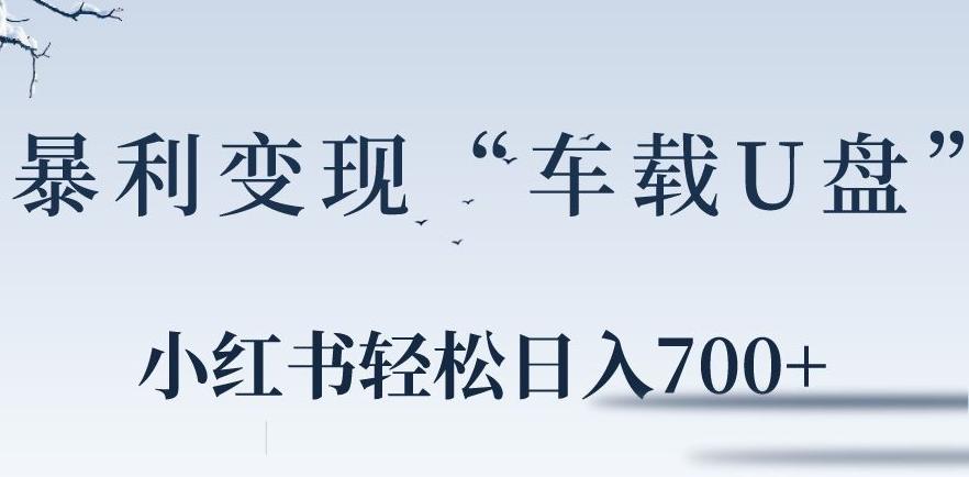 小红书“车载U盘”暴利引流，日入700+-策里行间