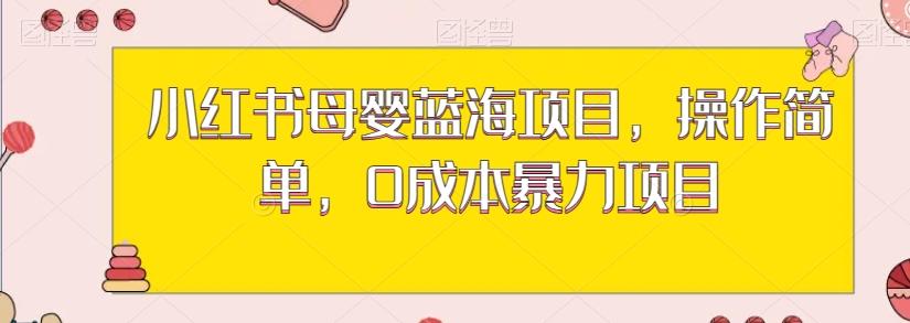 小红书母婴蓝海项目，操作简单，0成本暴力项目-策里行间