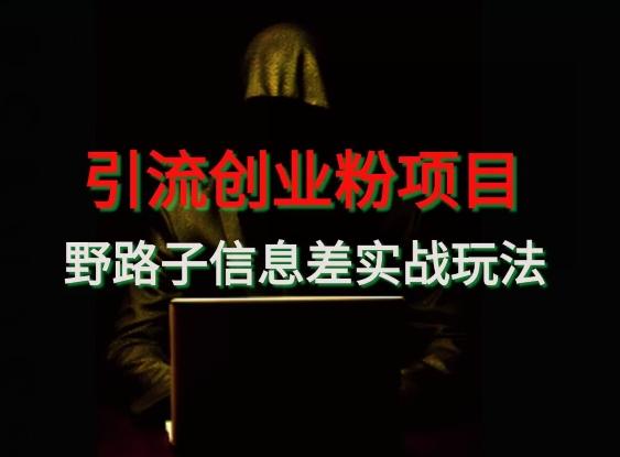 【引流创业粉】野路子信息差玩法实战教学-策里行间