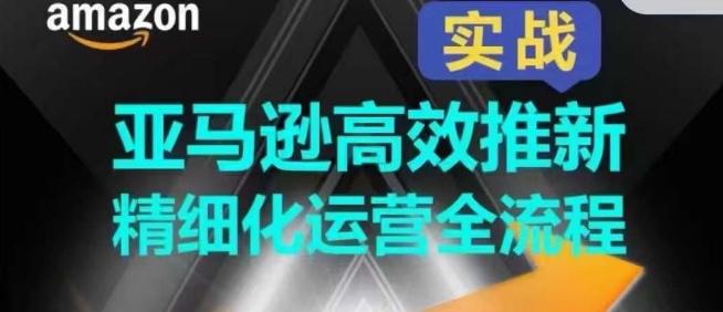 亚马逊高效推新精细化运营全流程，全方位、快速拉升产品排名和销量!-策里行间