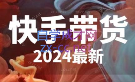 快手带货(2024最新)-策里行间