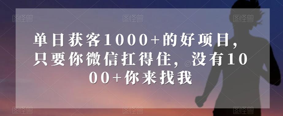 单日获客1000+的好项目，只要你微信扛得住，没有1000+你来找我【揭秘】-策里行间