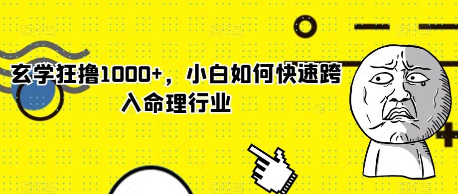 玄学狂撸1000+，小白如何快速跨入命理行业-策里行间