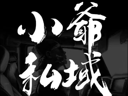 小爷·私域项目操盘手-策里行间