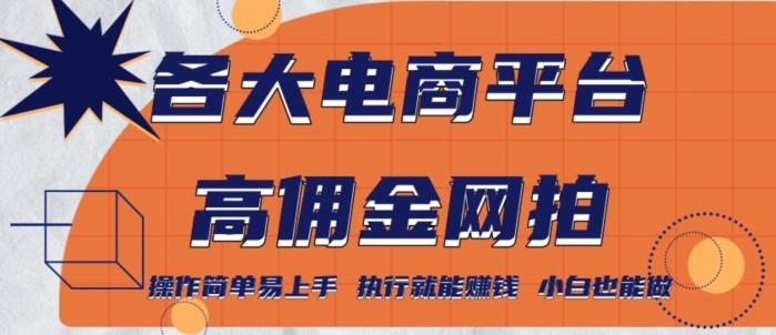 各大电商平台高佣金网拍，操作简单易上手，执行就能赚钱，小白也能做-策里行间