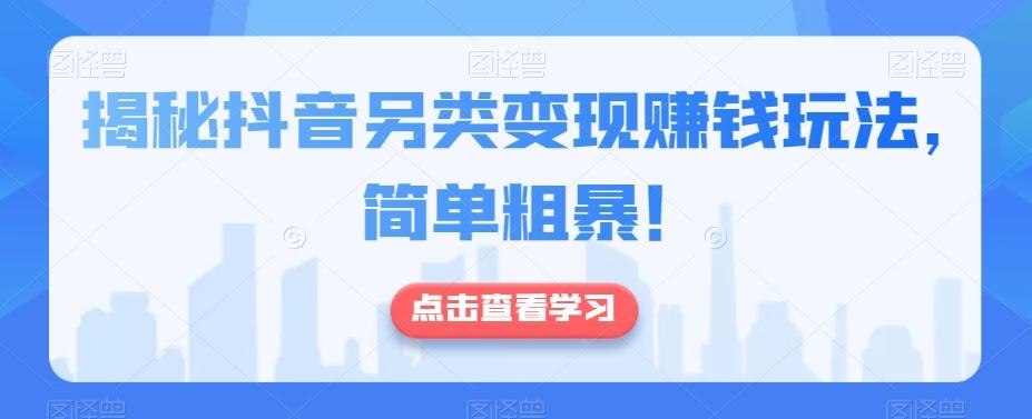 揭秘抖音另类变现赚钱玩法，简单粗暴！-策里行间