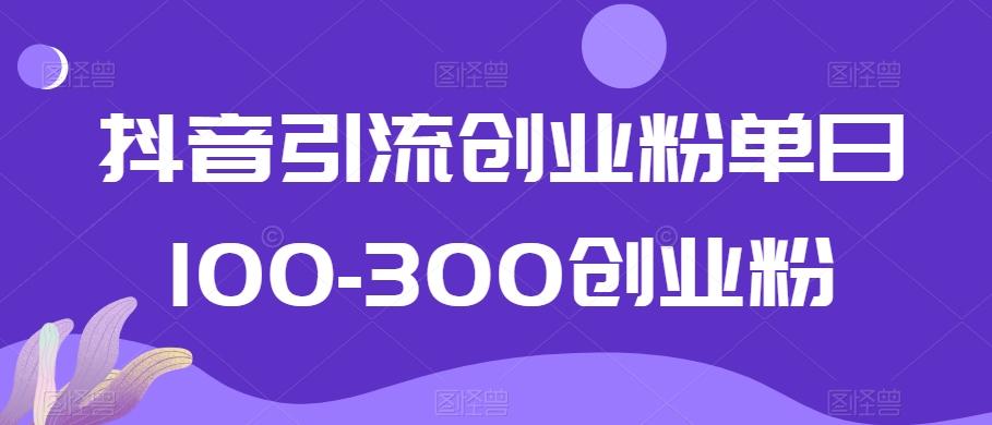 抖音引流创业粉单日100-300创业粉【揭秘】-策里行间