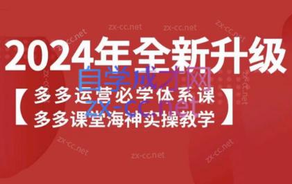 海神老师·拼多多运营必学体系课-策里行间