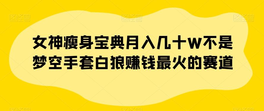 女神瘦身宝典月入几十W不是梦空手套白狼赚钱最火的赛道【揭秘】-策里行间