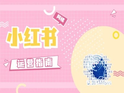 小红书运营指南，没有套路，全是经验-策里行间