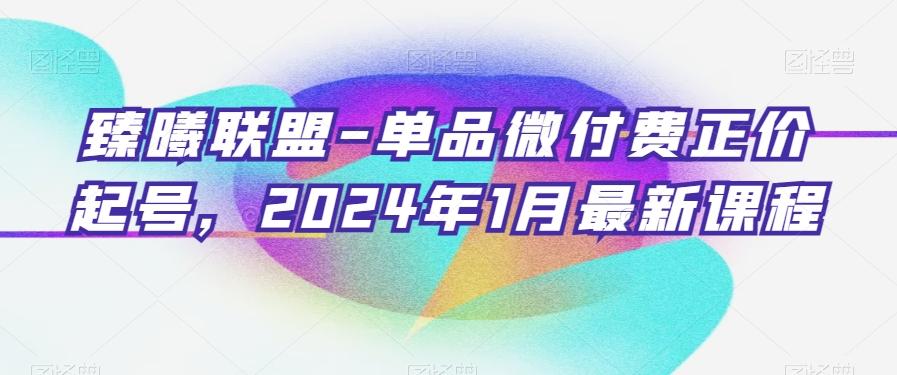 臻曦联盟-单品微付费正价起号，2024年1月最新课程-策里行间