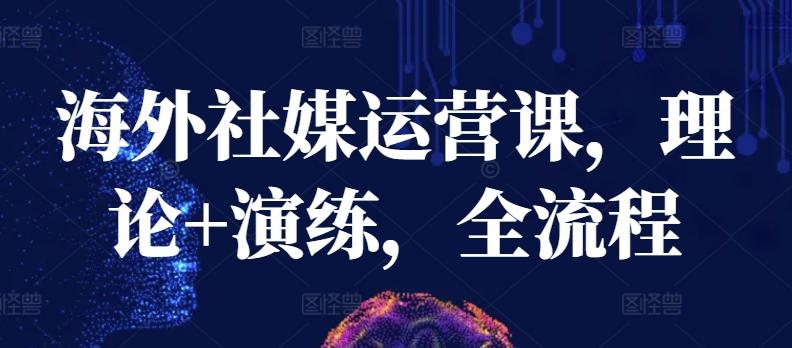 海外社媒运营课，理论+演练，全流程-策里行间