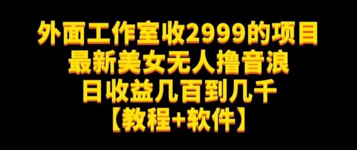 外面工作室收2999的项目最新美女无人撸音浪日收益几百到几千【教程+软件】（仅揭秘）-策里行间