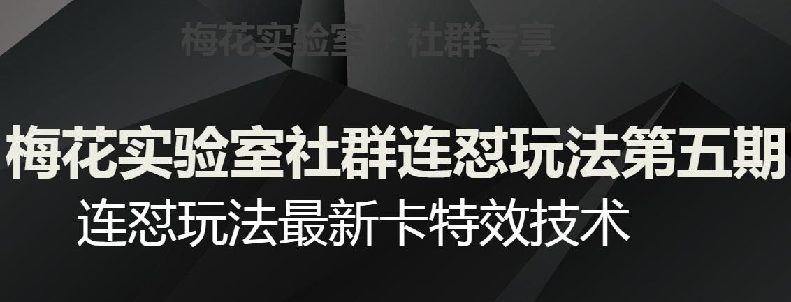 梅花实验室社群连怼玩法第五期，视频号连怼玩法最新卡特效技术-策里行间