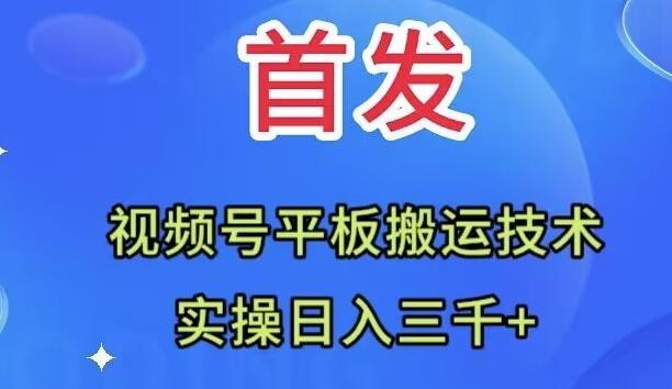 全网首发：视频号平板搬运技术，实操日入三千＋-策里行间