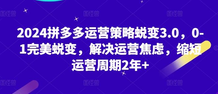 2024拼多多运营策略蜕变3.0，0-1完美蜕变，解决运营焦虑，缩短运营周期2年+-策里行间