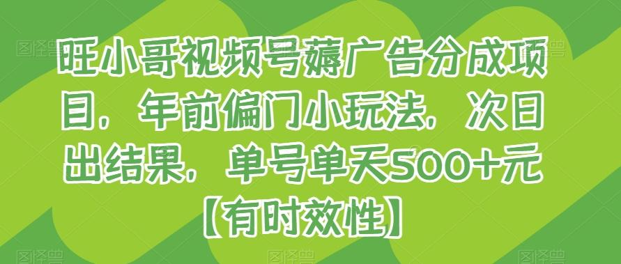 旺小哥视频号薅广告分成项目，年前偏门小玩法，次日出结果，单号单天500+元【有时效性】-策里行间