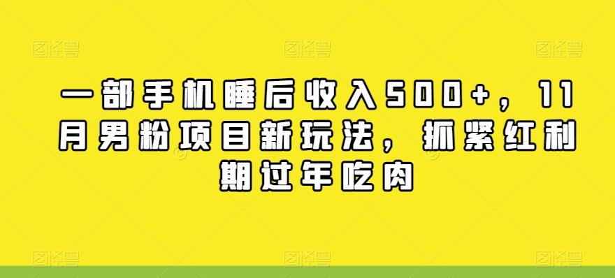 一部手机睡后收入500+，11月男粉项目新玩法，抓紧红利期过年吃肉-策里行间