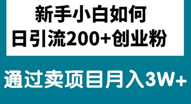 新手小白日引流200+创业粉,通过卖项目月入3W+-策里行间