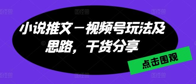 小说推文—视频号玩法及思路，干货分享-策里行间