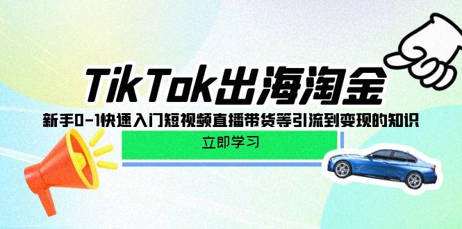 (10035期)TikTok-出海淘金，新手0-1快速入门短视频直播带货等引流到变现的知识-策里行间