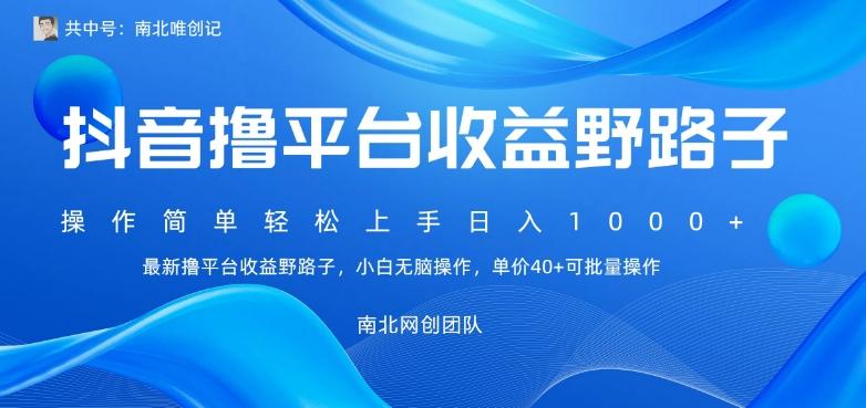 最新撸抖音平台收益野路子，操作简单，单价高，小白可无脑操作可日入1000+-策里行间