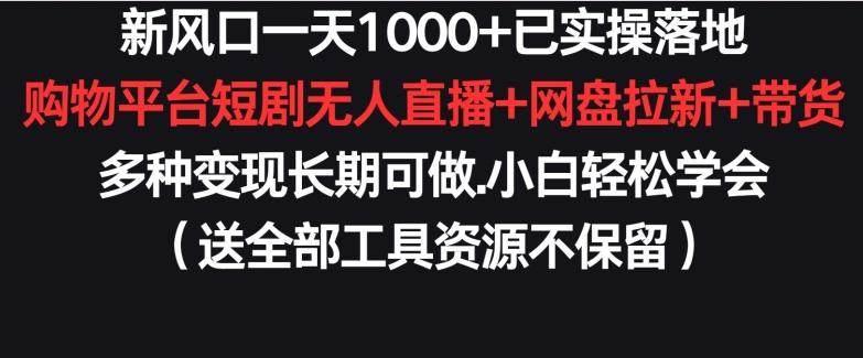 新风口一天1000+已实操落地购物平台短剧无人直播+网盘拉新+带货多种变现长期可做【揭秘】-策里行间