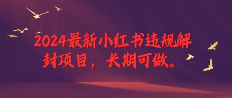 2024最新小红书违规解封项目，长期可做，一个可以做到退休的项目【揭秘】-策里行间