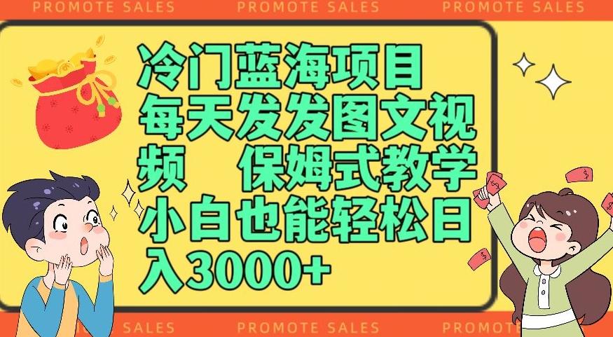 冷门蓝海项目，每天发发图文视频，保姆式教学，小白也能轻松日入3000+-策里行间