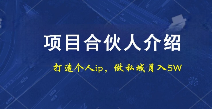 项目合伙人项目，打造个人IP，做私域月入5W，小白勿扰-策里行间