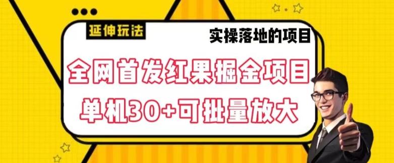 全网首发红果免费短剧掘金项目，单机30+可批量放大【揭秘】-策里行间