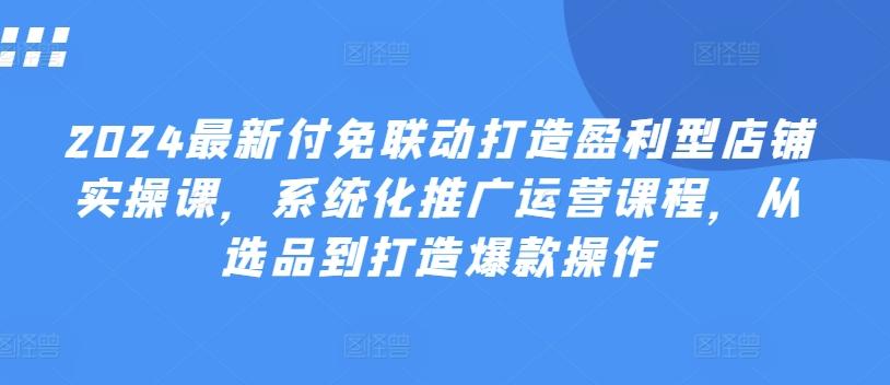 2024最新付免联动打造盈利型店铺实操课，​系统化推广运营课程，从选品到打造爆款操作-策里行间